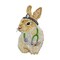 Doctor Rabbit, Medical Hare, Bunny, Embroidered, Iron on Patch